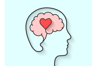 Program for Anxiety, Depression and Stress. 